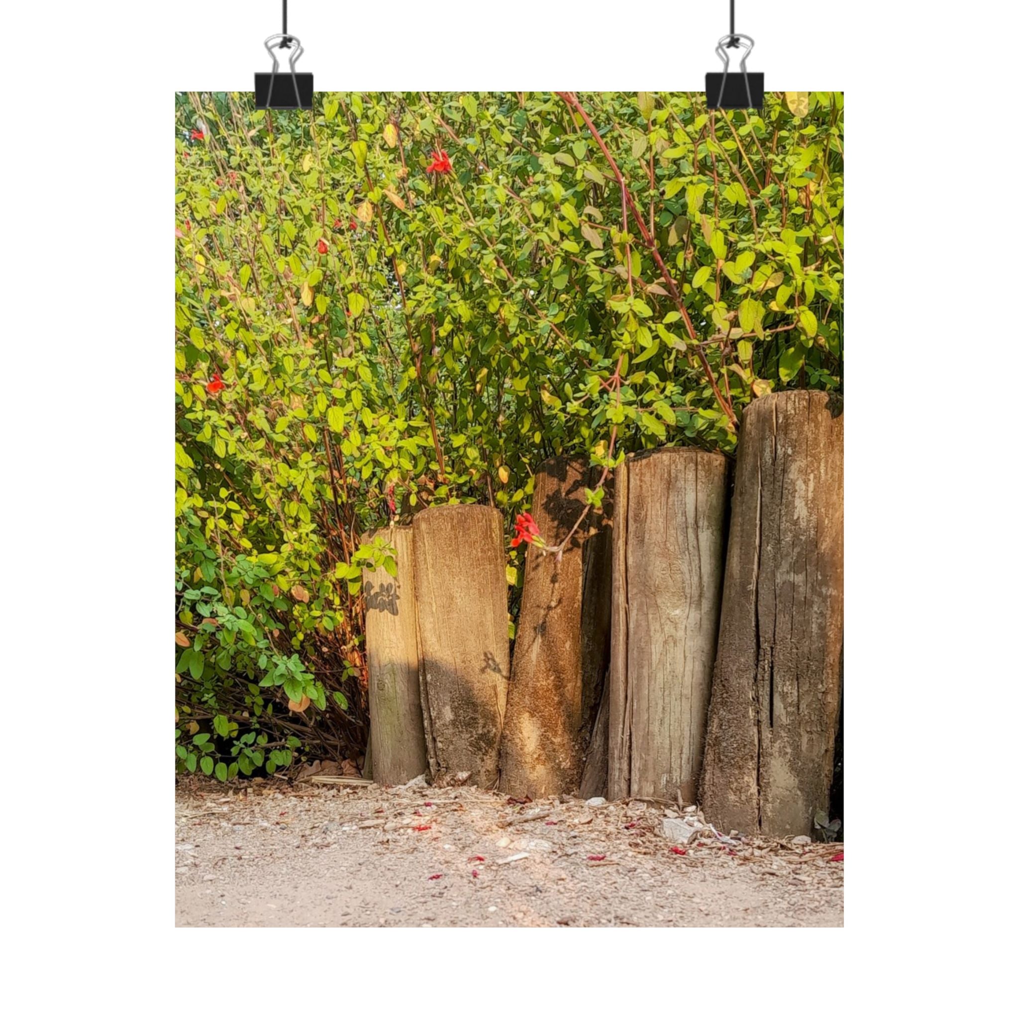 Woodland Garden Vertical Poster — Rustic Tree Stump & Greenery Matte Print