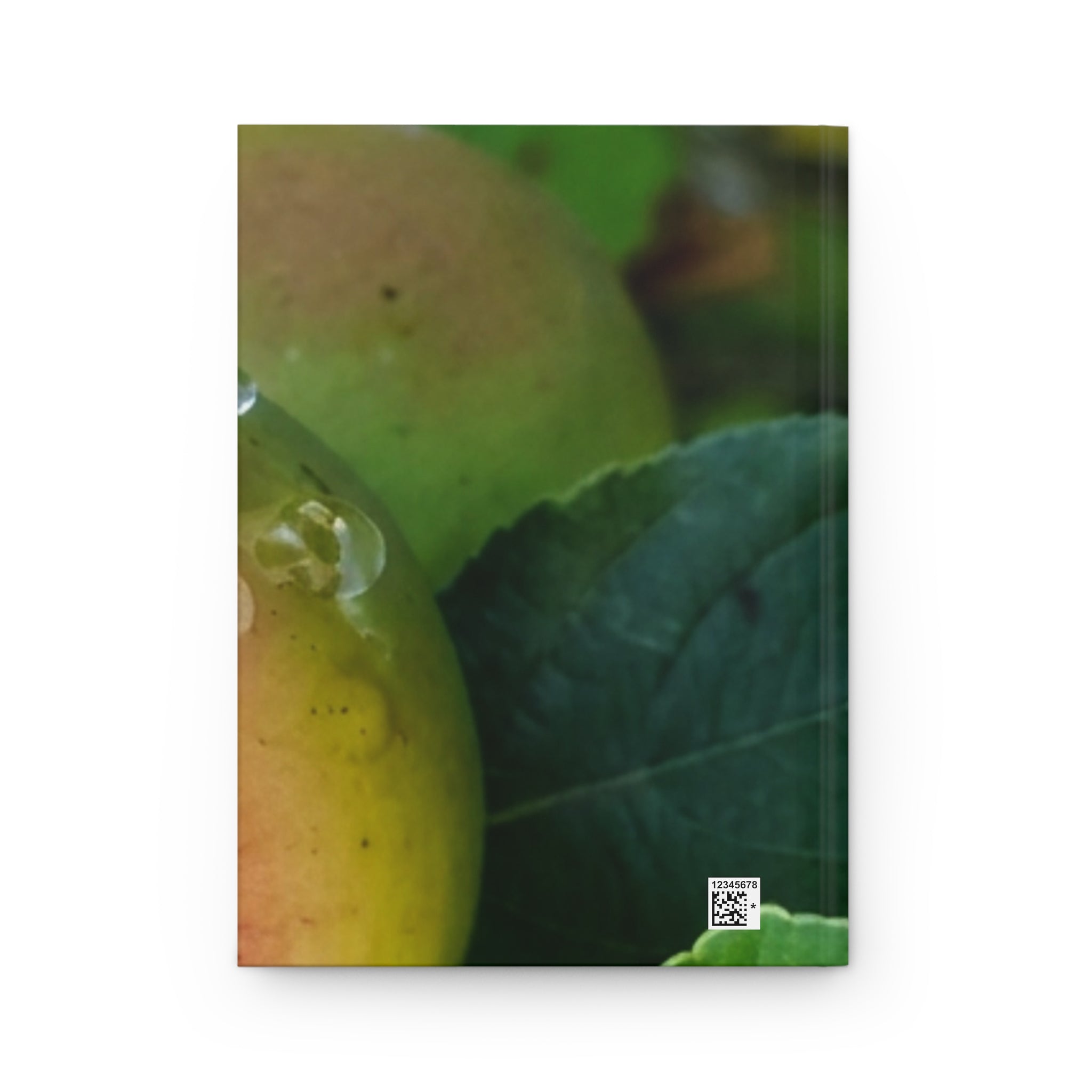 Bible Study Hardcover Journal — Apple Orchard Devotional Notebook