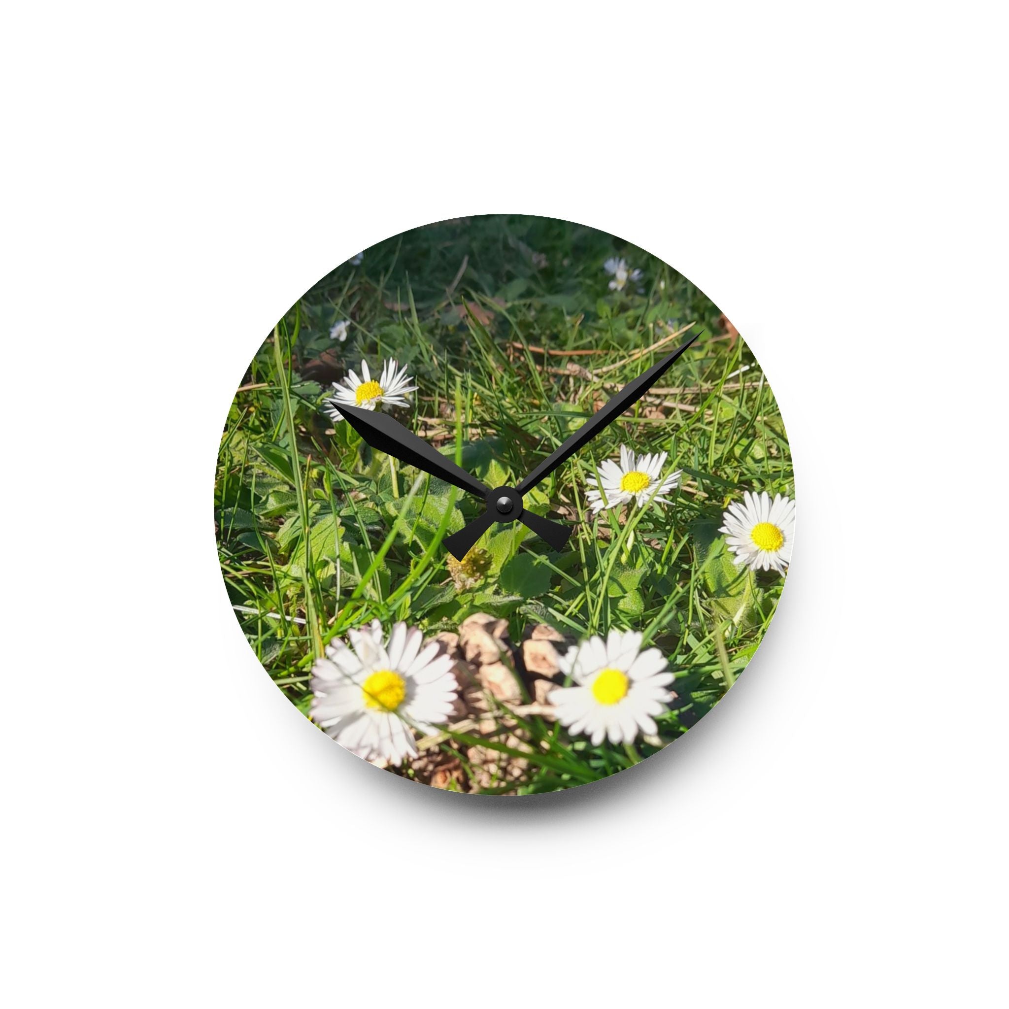 Daisy Field Acrylic Wall Clock — Floral Nature Decor