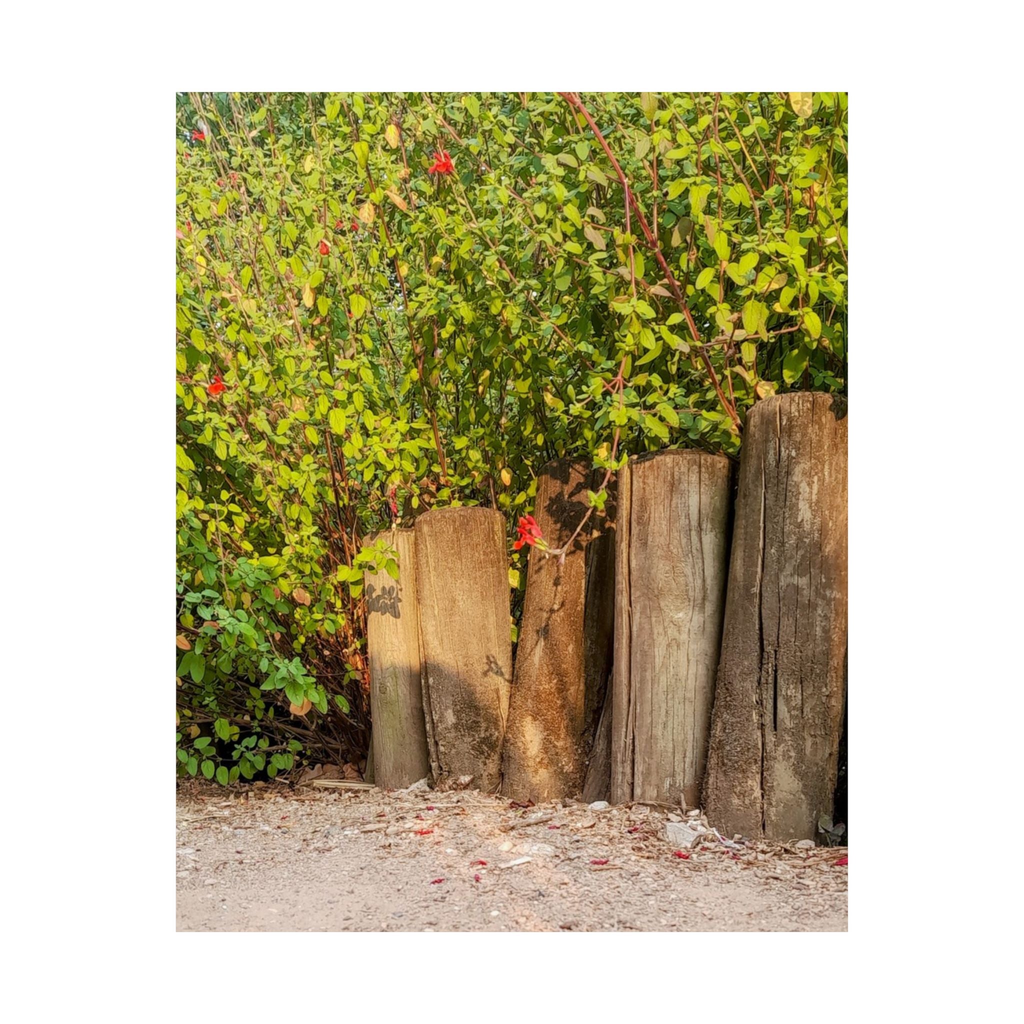 Woodland Garden Vertical Poster — Rustic Tree Stump & Greenery Matte Print