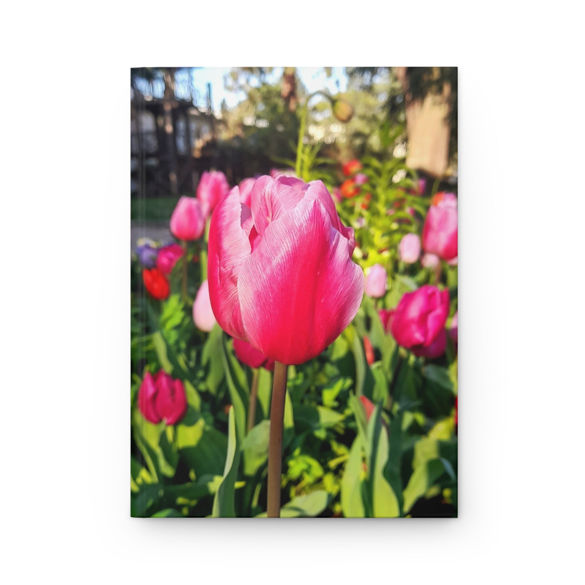 Pink Tulip Hardcover Journal — Floral Photography Notebook for Spring, Gardening & Daily Notes
