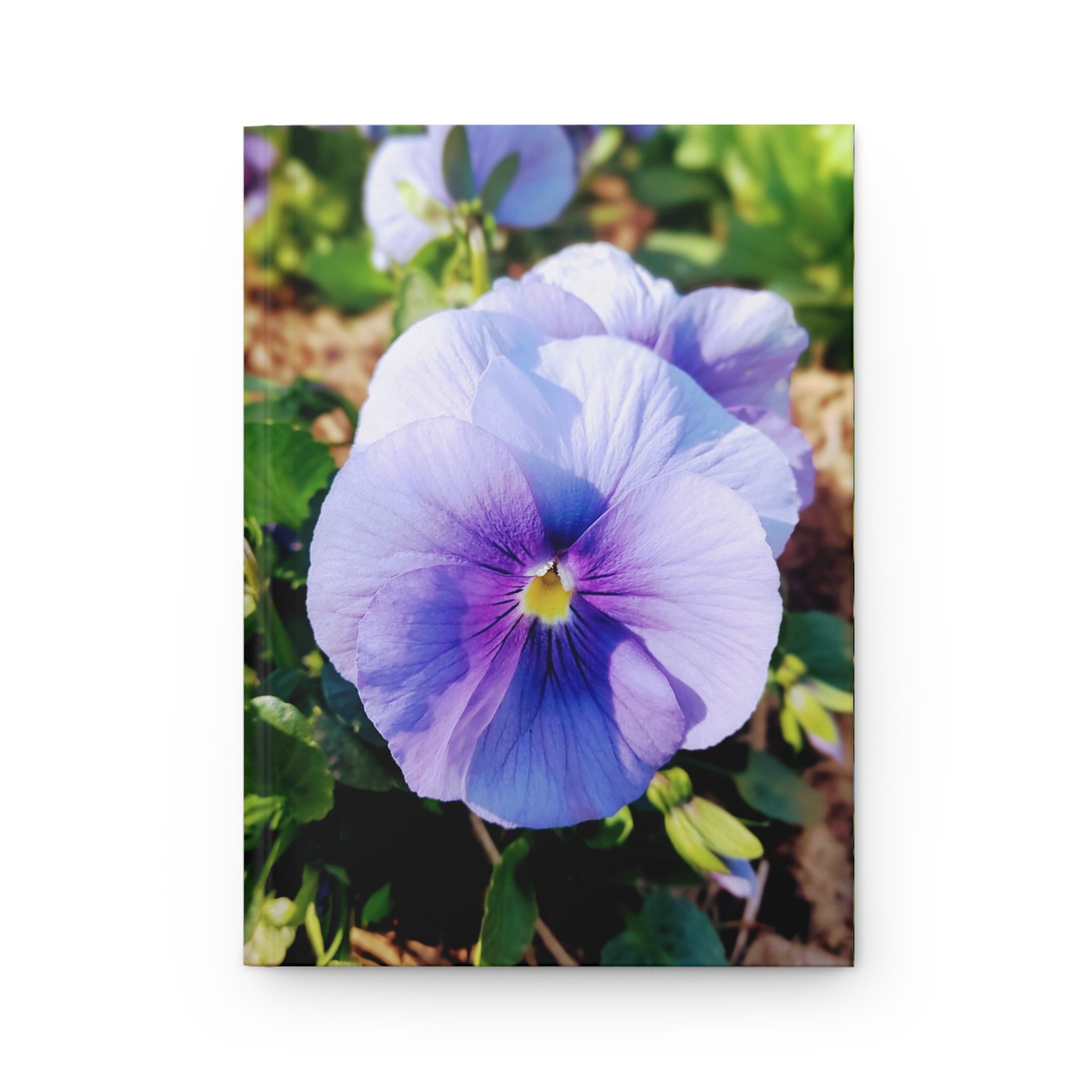Pansy Blossom Hardcover Journal — Purple Floral Notebook